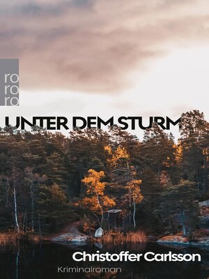 cover image of Unter dem Sturm